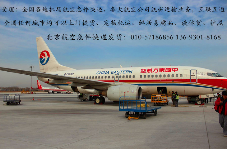 北京机场航空急件快递——宠物托运
